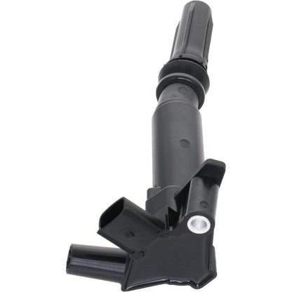 Holstein 2IGC0441