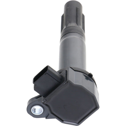 Holstein 2IGC0472