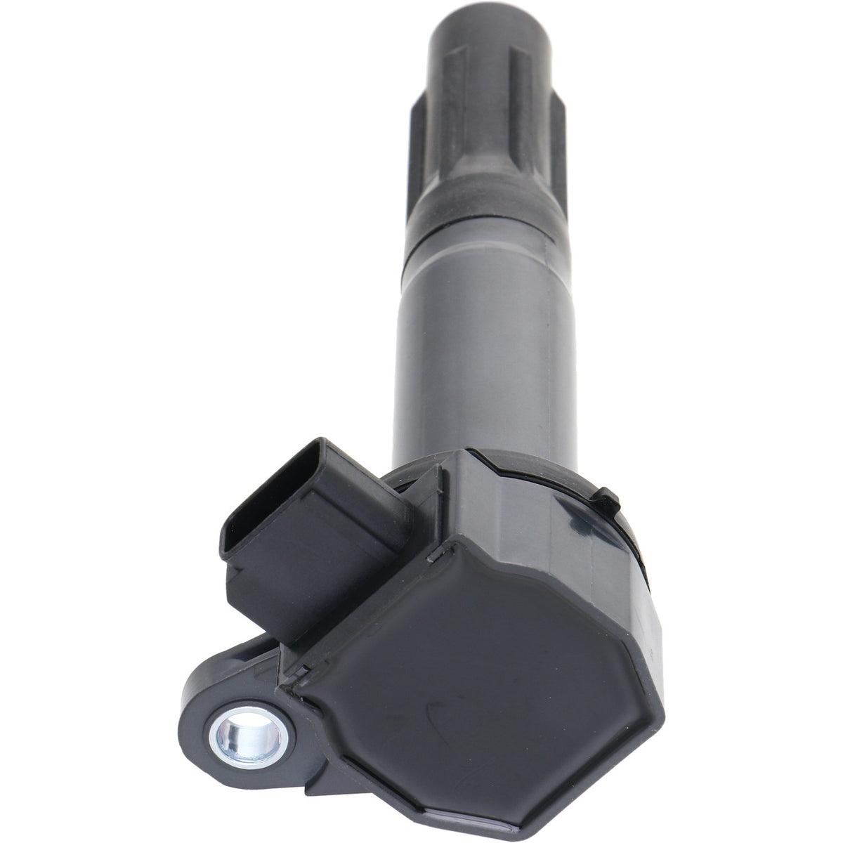 Holstein 2IGC0472