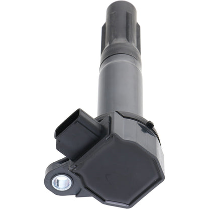 Holstein 2IGC0472