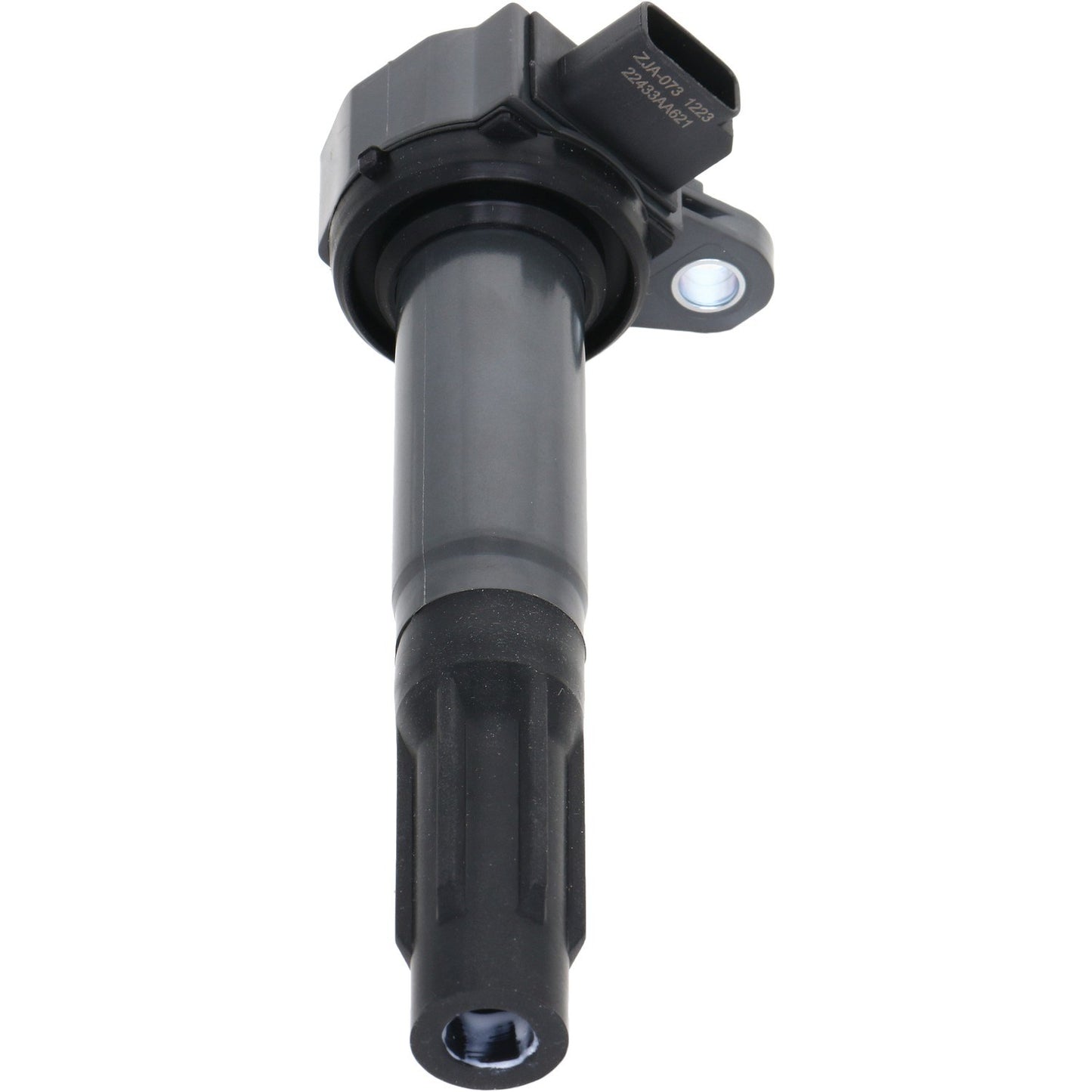 Holstein 2IGC0472