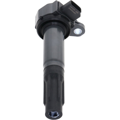 Holstein 2IGC0472