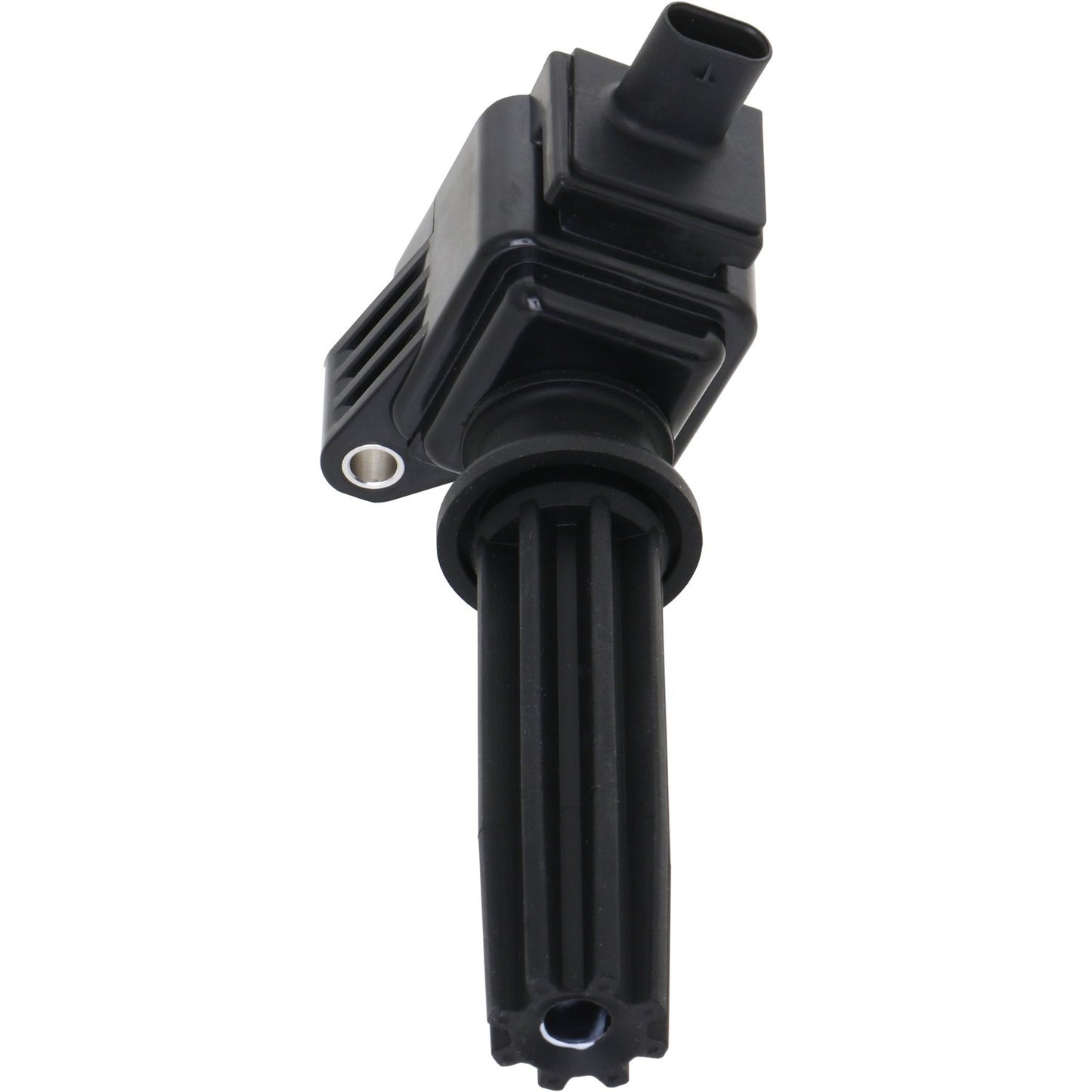 Holstein 2IGC0475