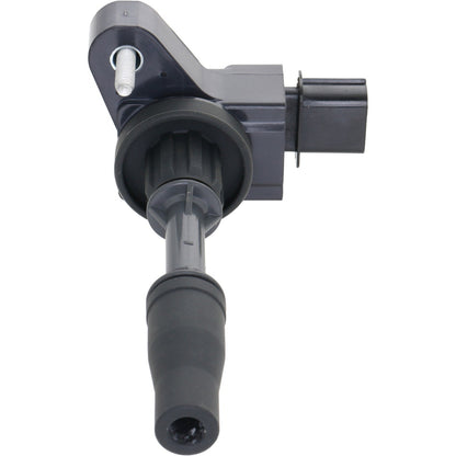 Holstein 2IGC0485