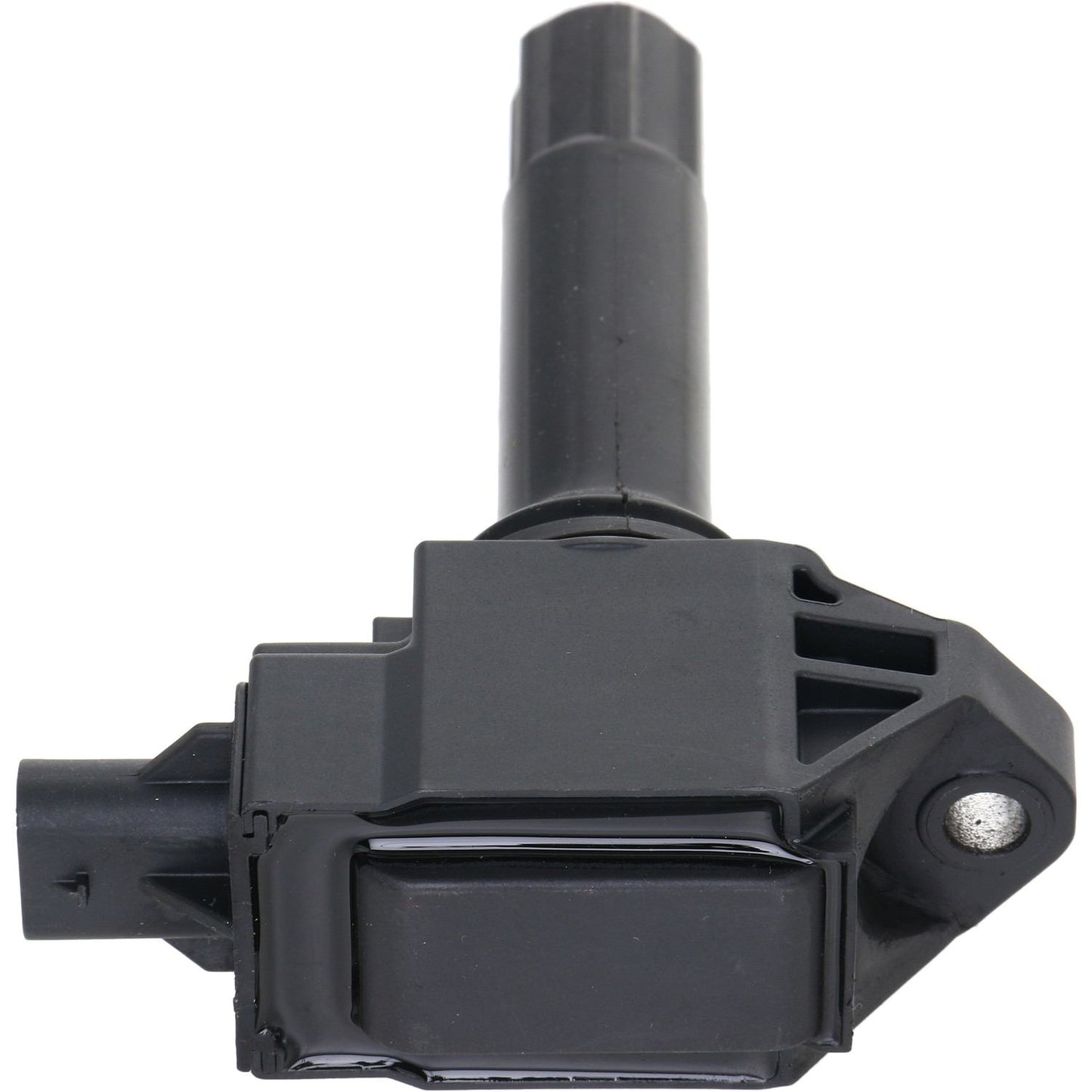 Holstein 2IGC0510