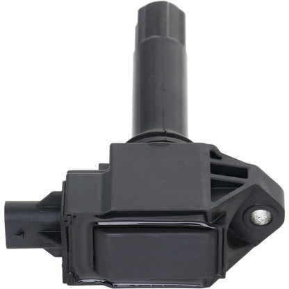 Holstein 2IGC0510