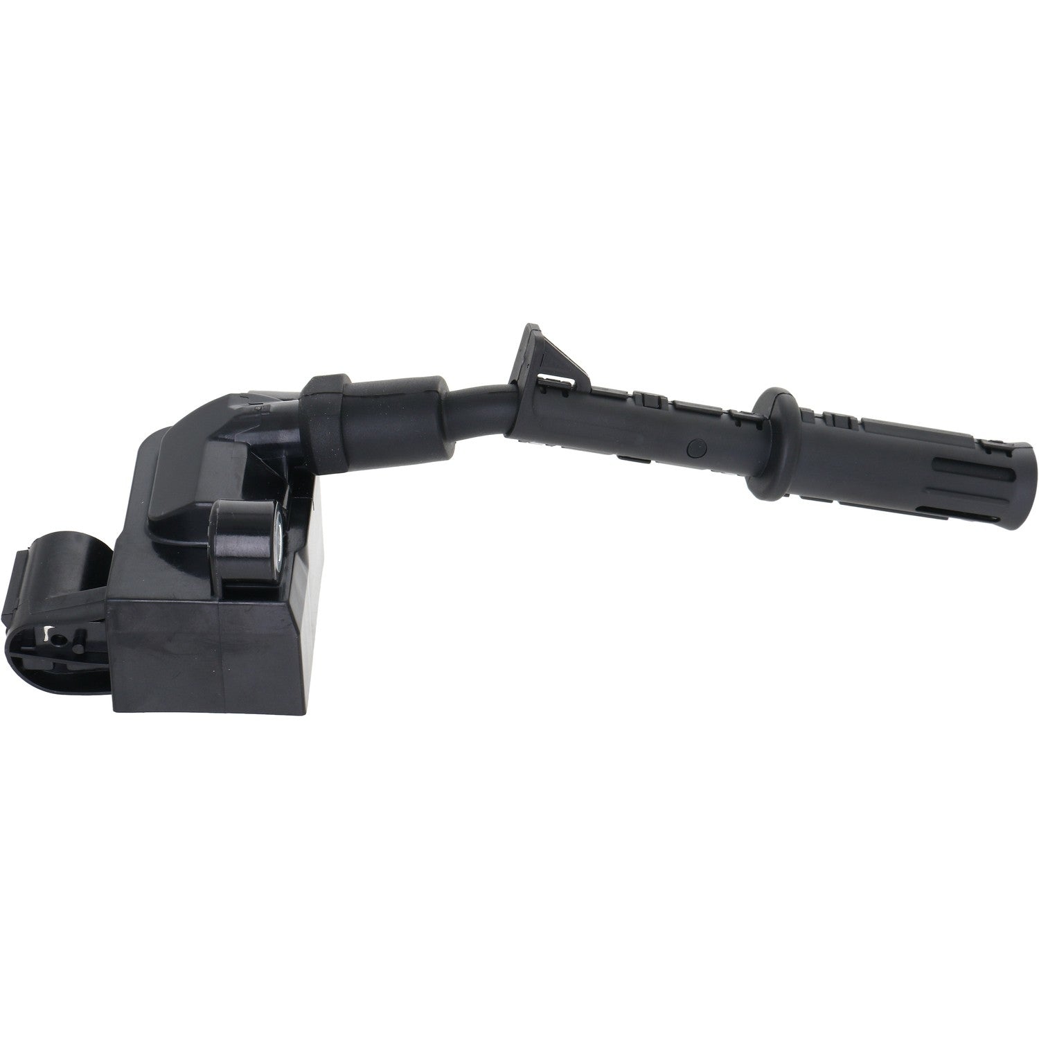 Holstein 2IGC0530