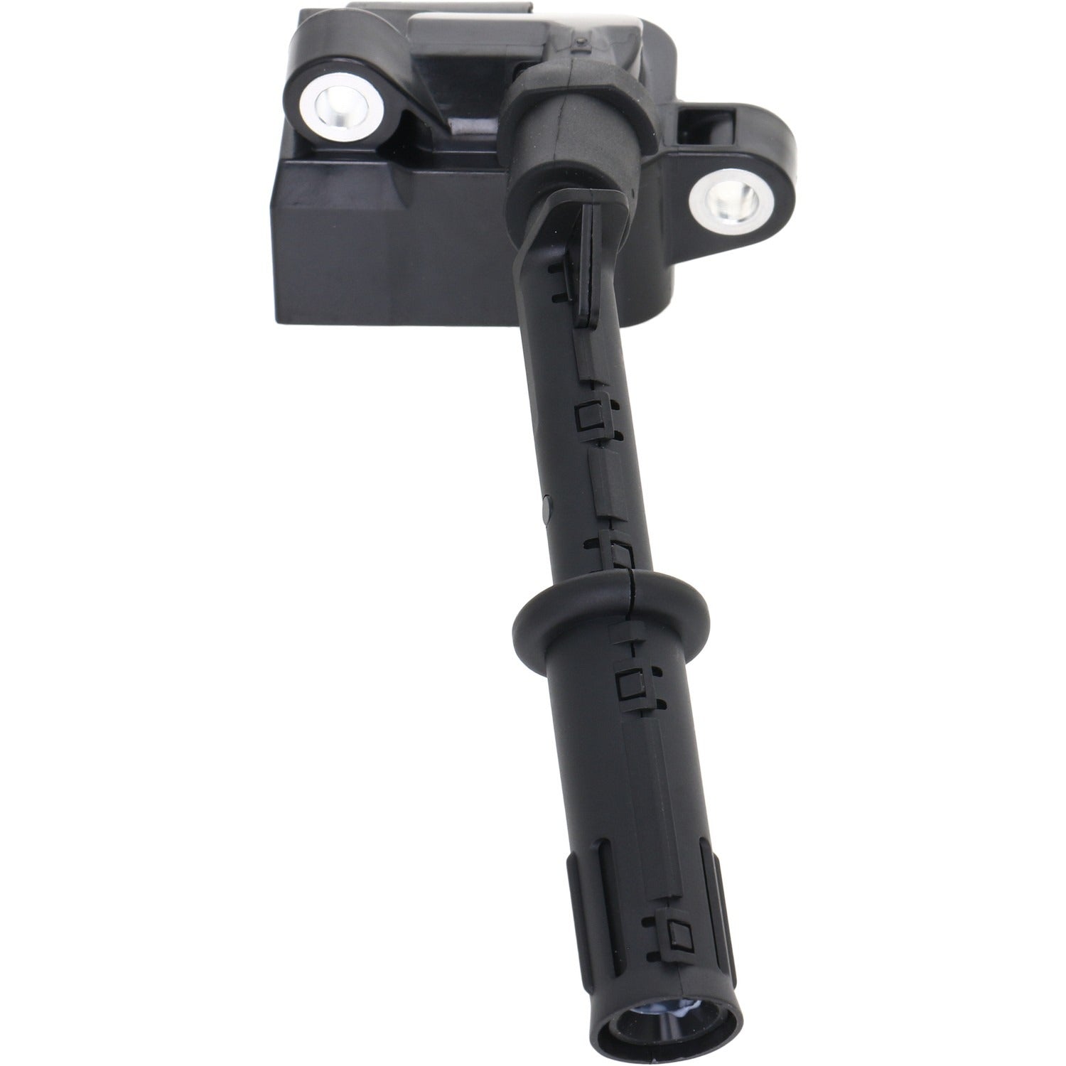 Holstein 2IGC0530