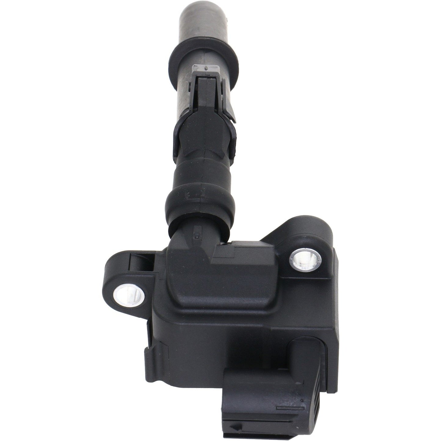 Holstein 2IGC0537