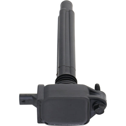 Holstein 2IGC0545