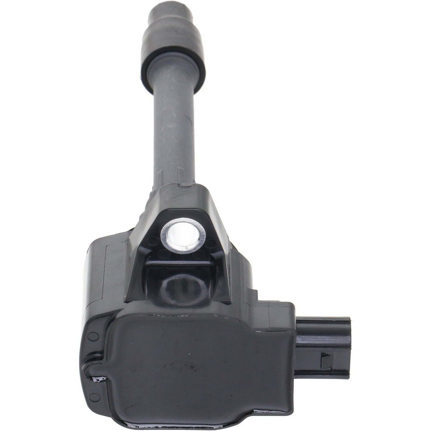 Holstein 2IGC0563