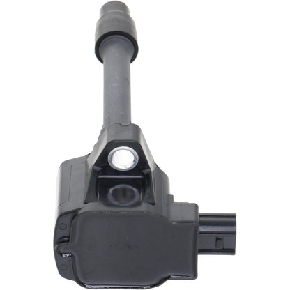 Holstein 2IGC0563