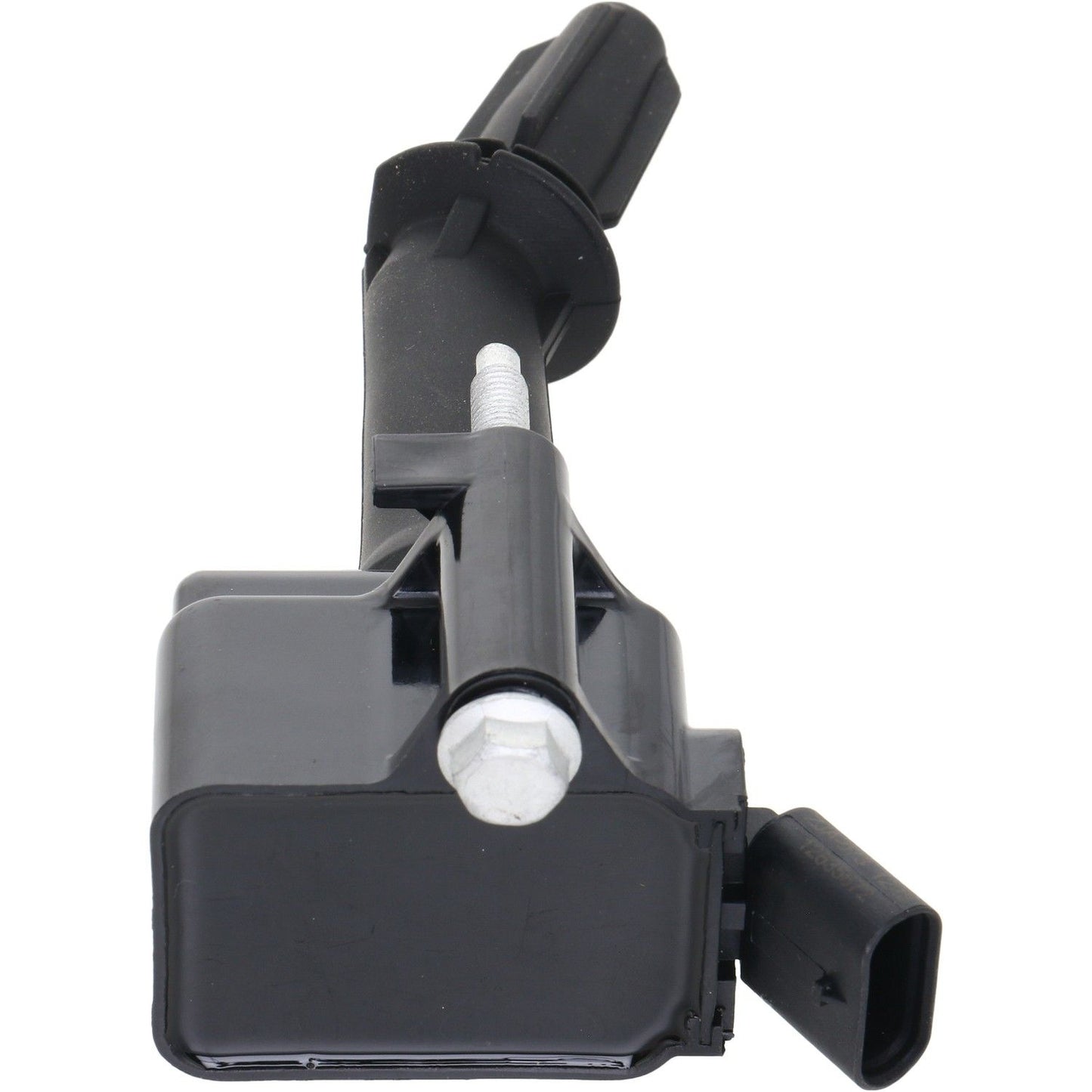 Holstein 2IGC0572