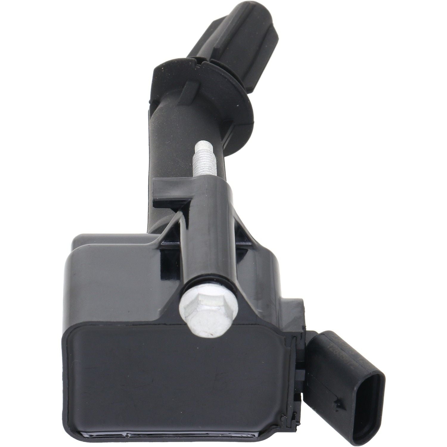 Holstein 2IGC0572