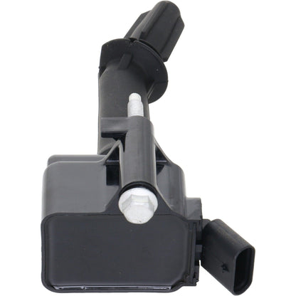 Holstein 2IGC0572