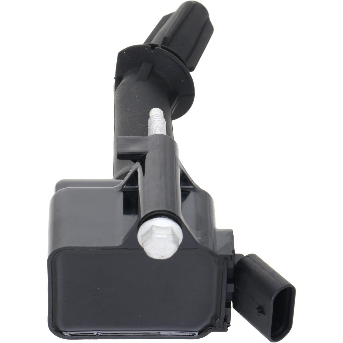 Holstein 2IGC0572