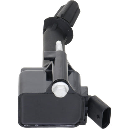 Holstein 2IGC0572