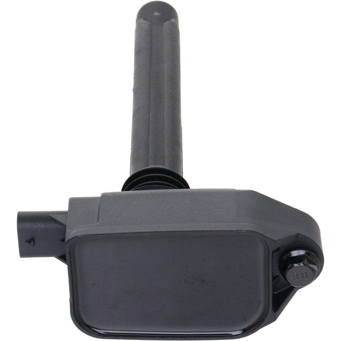 Holstein 2IGC0576