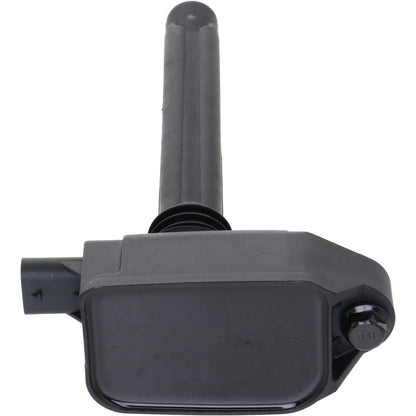 Holstein 2IGC0576