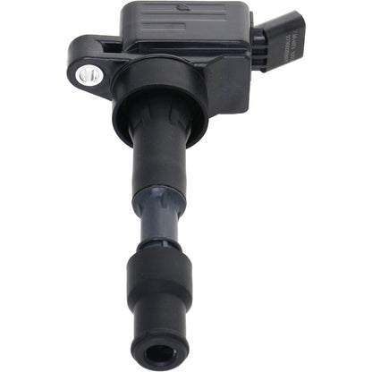 Holstein 2IGC0586