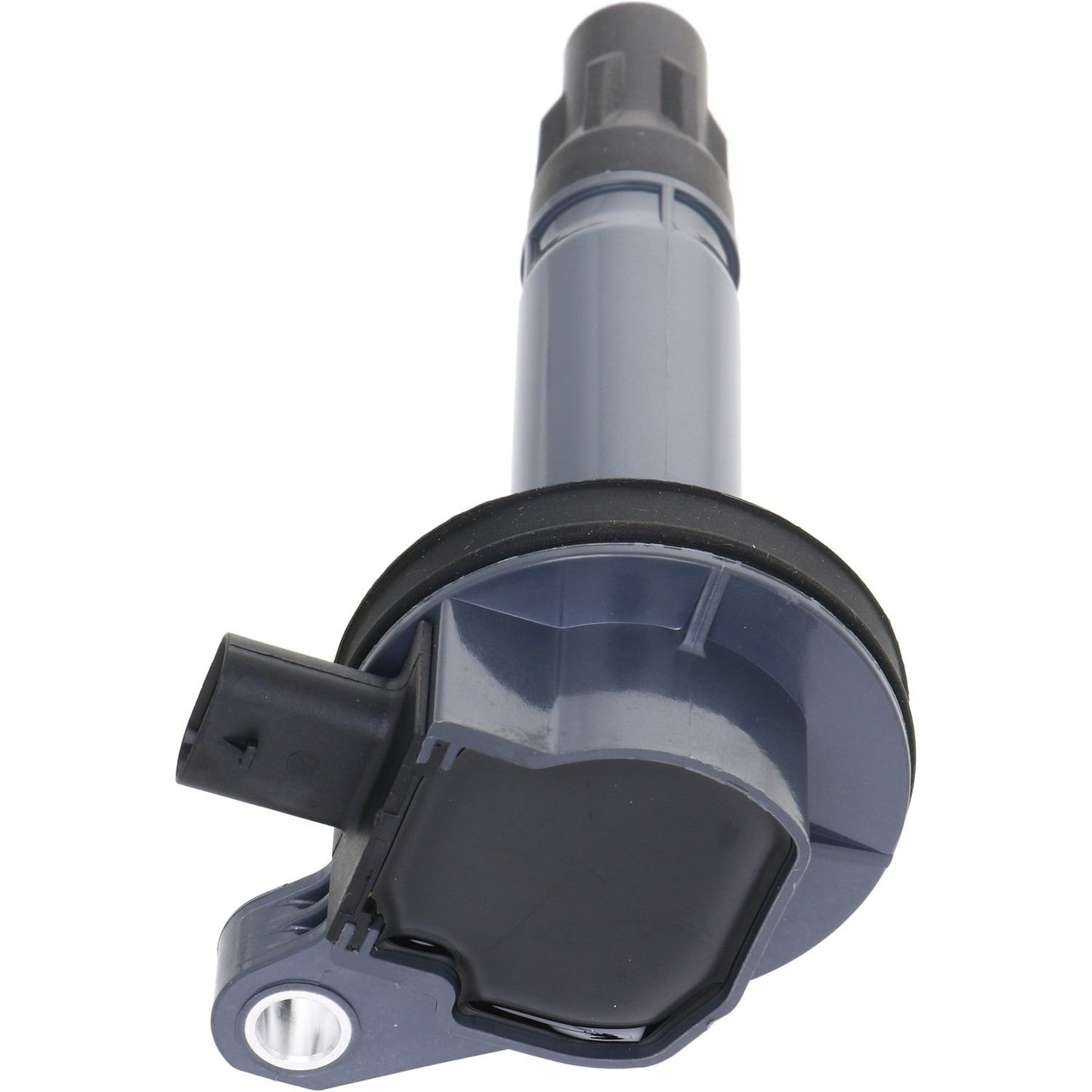 Holstein 2IGC0592
