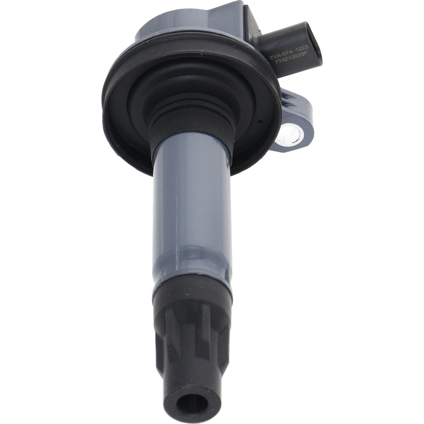 Holstein 2IGC0592