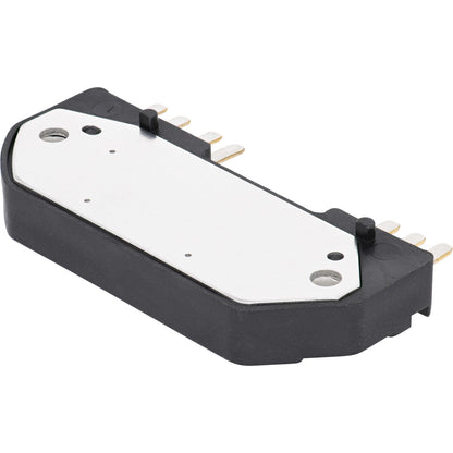 Holstein 2IGM0039 image 3