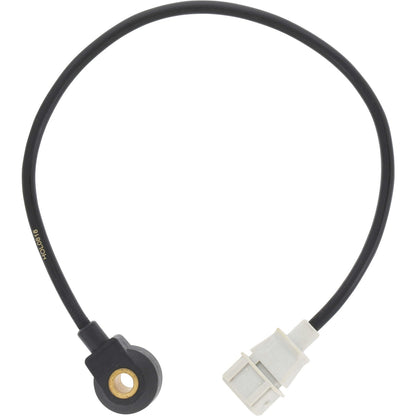 HOLSTEIN Ignition Knock (Detonation) Sensor 2KNC0013
