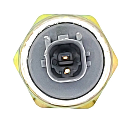 HOLSTEIN Ignition Knock (Detonation) Sensor 2KNC0219