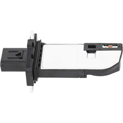 Holstein 2MAF0005