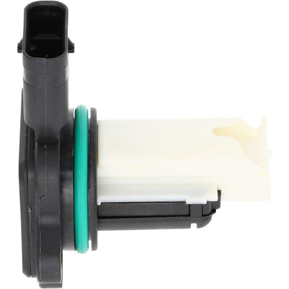 Holstein 2MAF0006