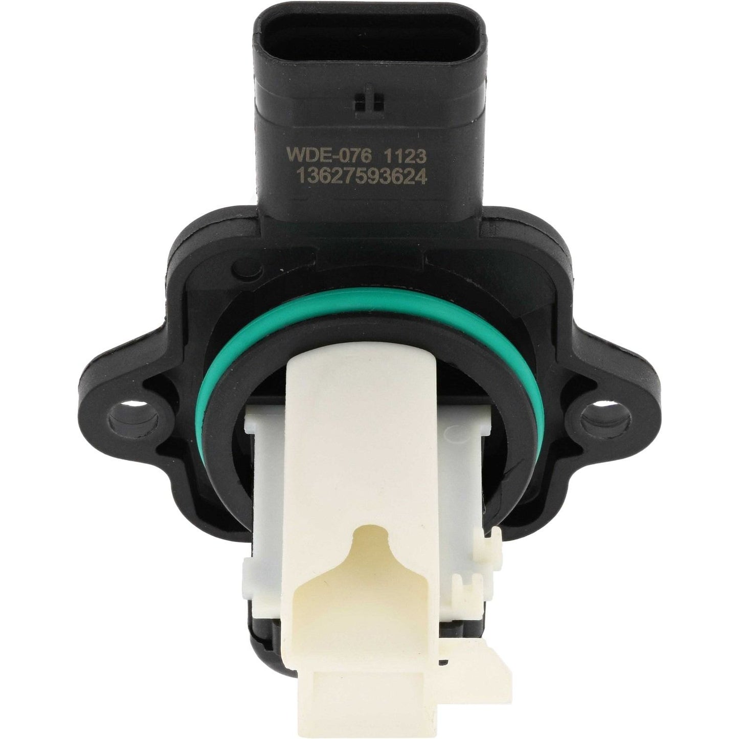Holstein 2MAF0006