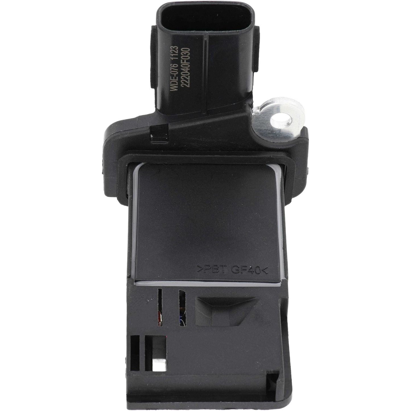 Holstein 2MAF0007