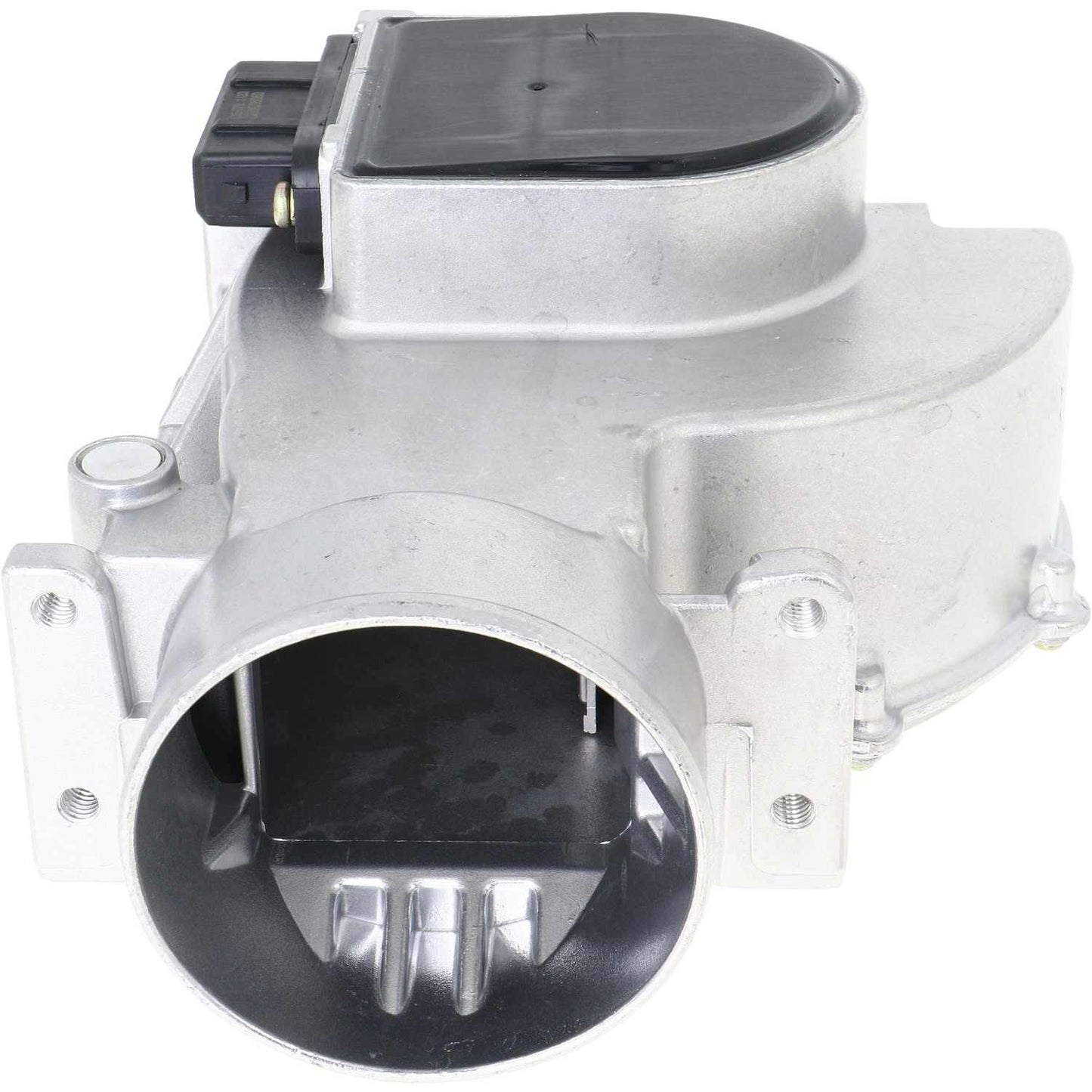 Holstein 2MAF0009