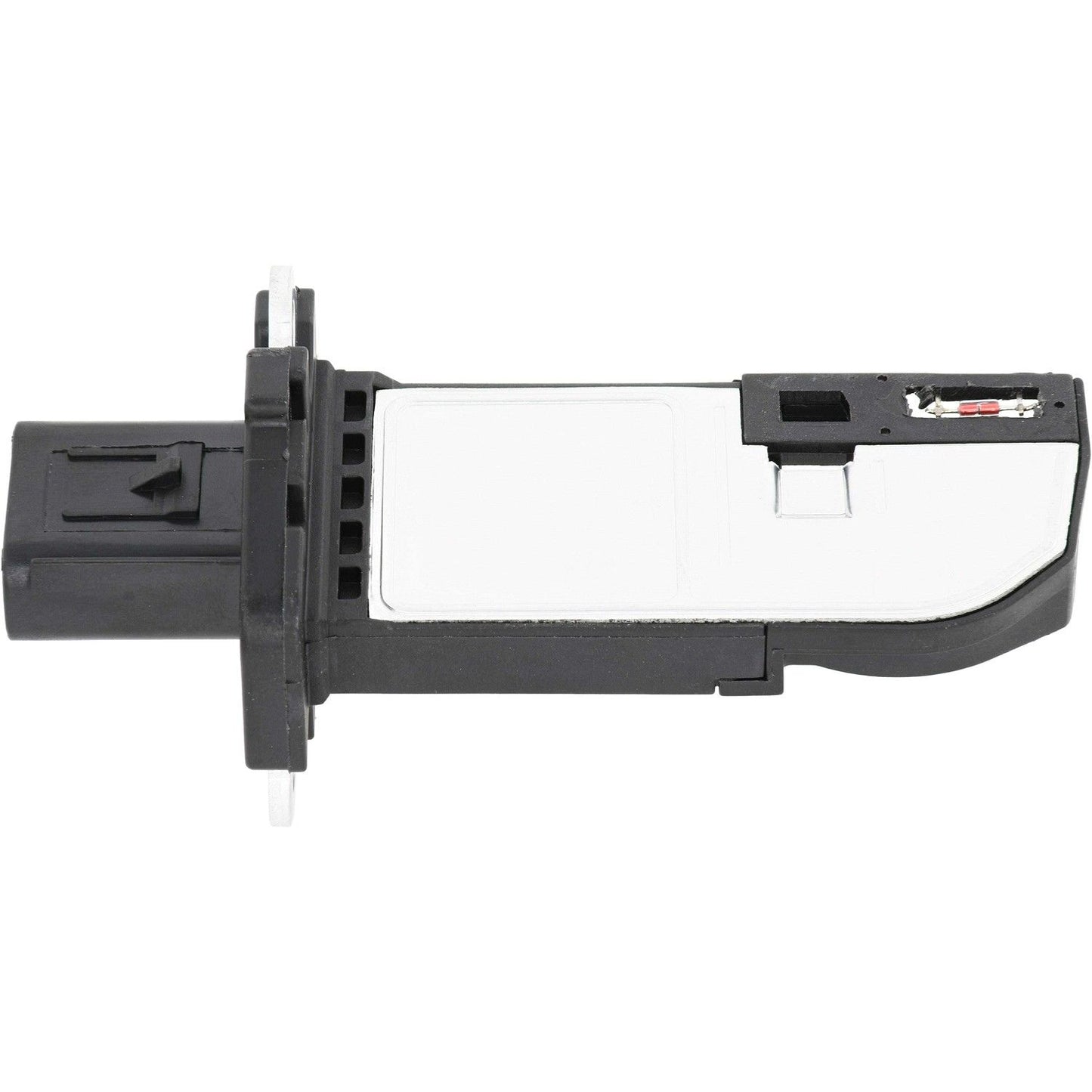 Holstein 2MAF0022