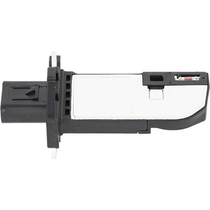 Holstein 2MAF0022