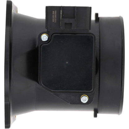 Holstein 2MAF0033