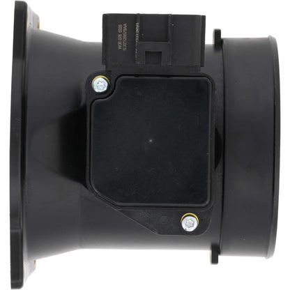 Holstein 2MAF0033