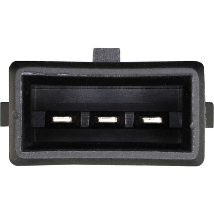 Holstein 2MAF0054