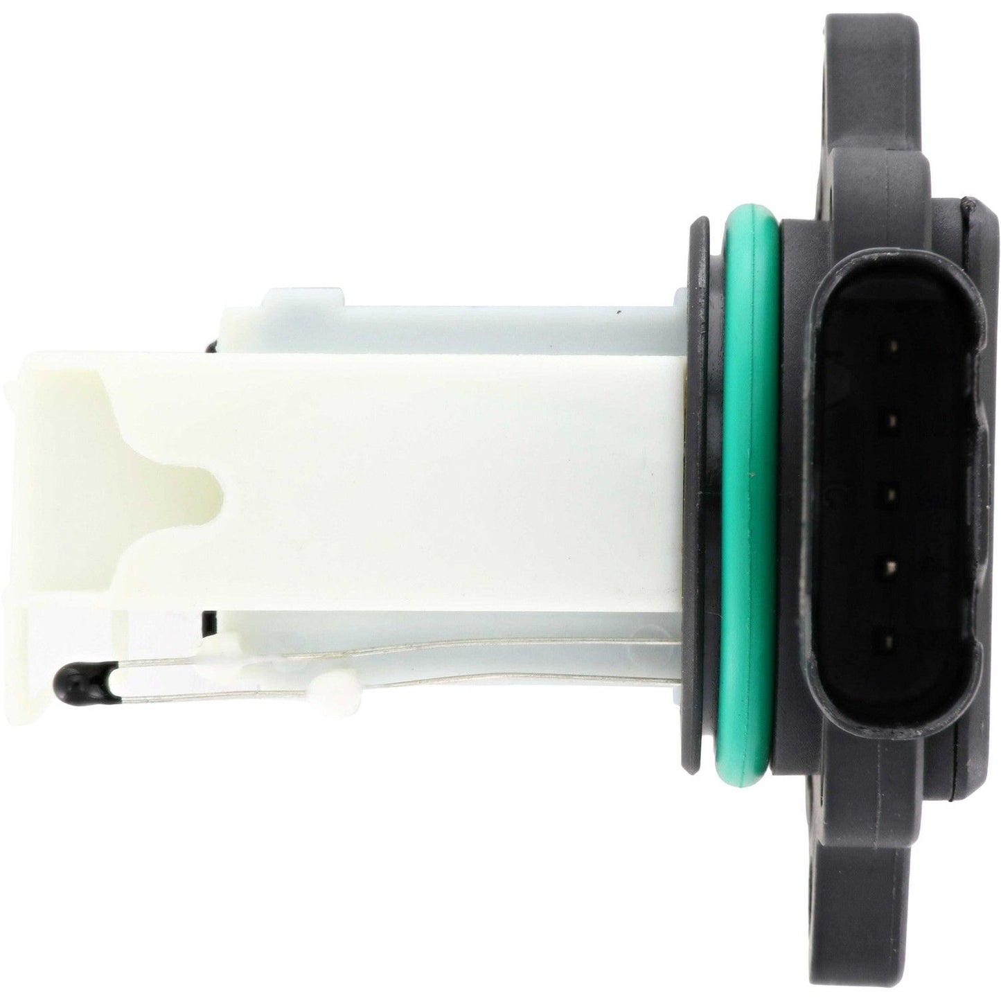Holstein 2MAF0108