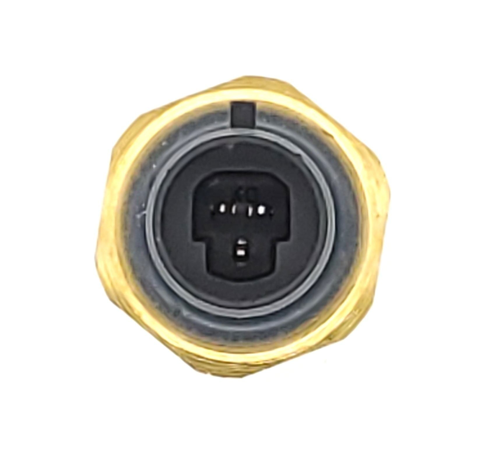 HOLSTEIN Manifold Absolute Pressure Sensor 2MAP0204