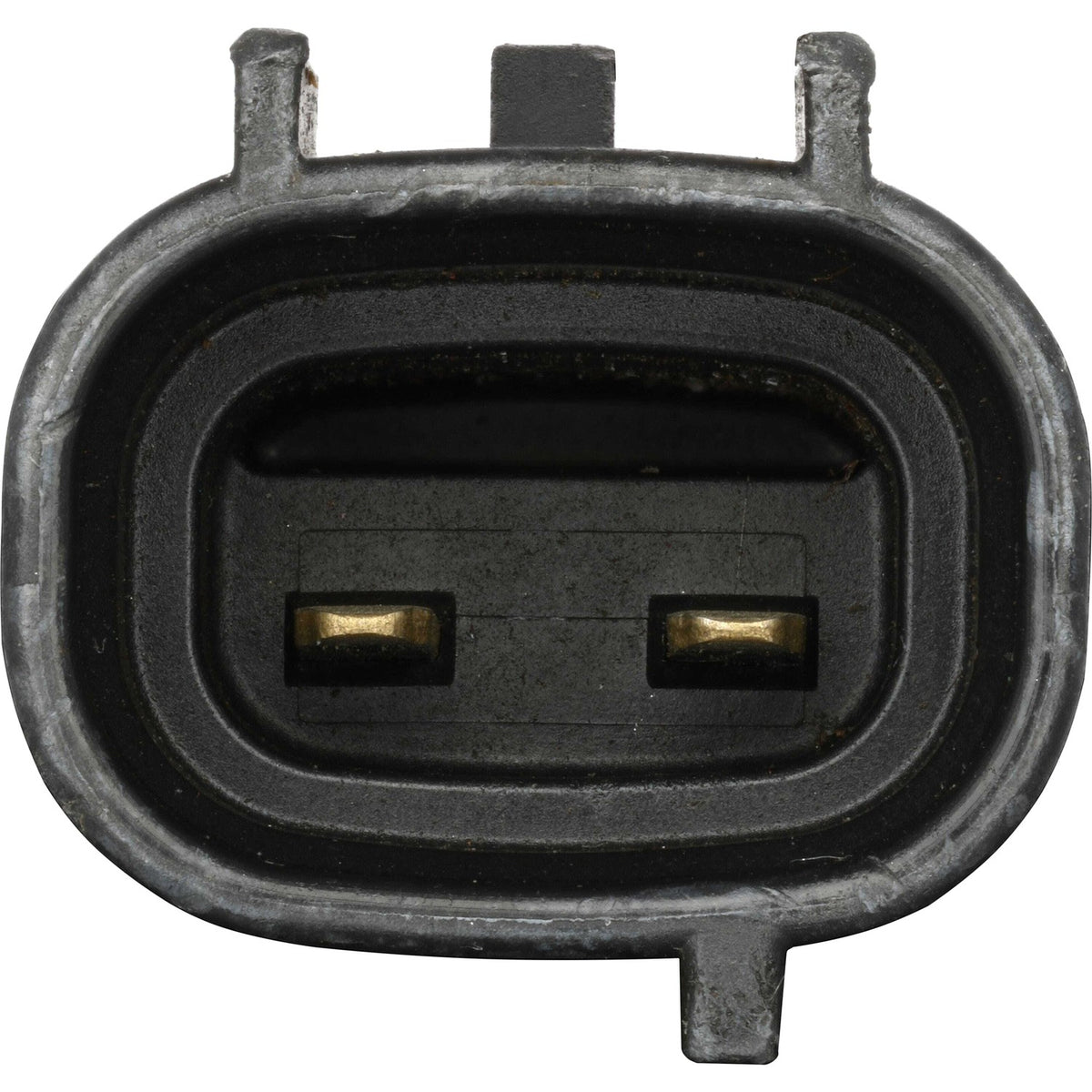 Holstein Vehicle Part 2VCV0014