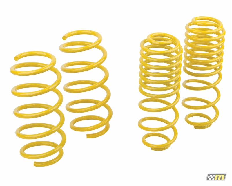 Mountune Sport Spring Set 2014-2015 Fiesta ST 2364-MSK-BA Photo - Primary