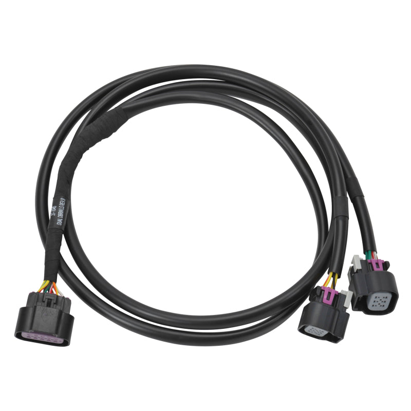 Edelbrock EDE Wiring Harness Engine Components Wiring Harnesses main image