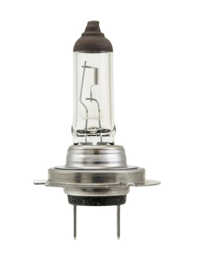 Hella Bulb H7 12V 70W PX26d T4.625 H7 70W H7 70W Photo - Primary