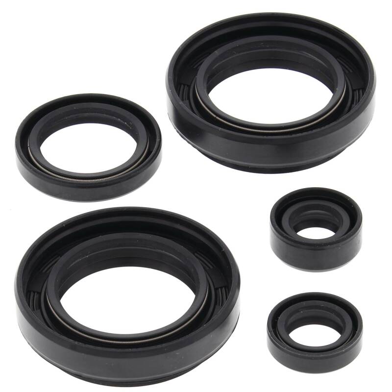 Vertex Pistons Vertex Gaskets 03-04 Arctic Cat 400 4x4 w/MT Oil Seal Kit 822234 822234 Photo - Primary
