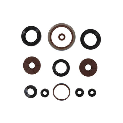 Vertex Pistons Vertex Gaskets 2011 Arctic Cat 1000 H2 LTD Oil Seal Kit 822385 822385 Photo - Primary