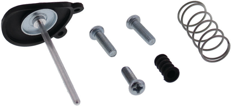 QuadBoss Qboss Accelerator Pump Kit 420594 420594 Photo - Primary