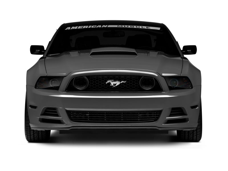 Raxiom 13-14 Ford Mustang GT CCFL Halo Fog Lights (Smoked) 49177 49177 Photo - Close Up