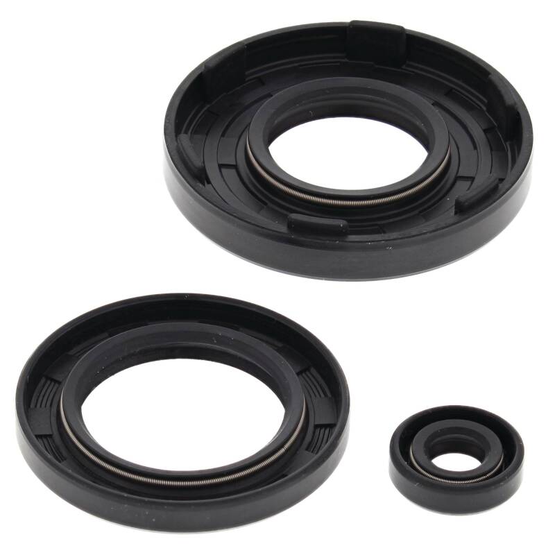 Vertex Pistons Vertex Gaskets 91-93 Arctic Cat Cheetah Touring Oil Seal Kit 55111 55111 Photo - Primary